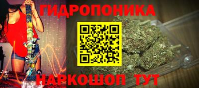 spice Кинель