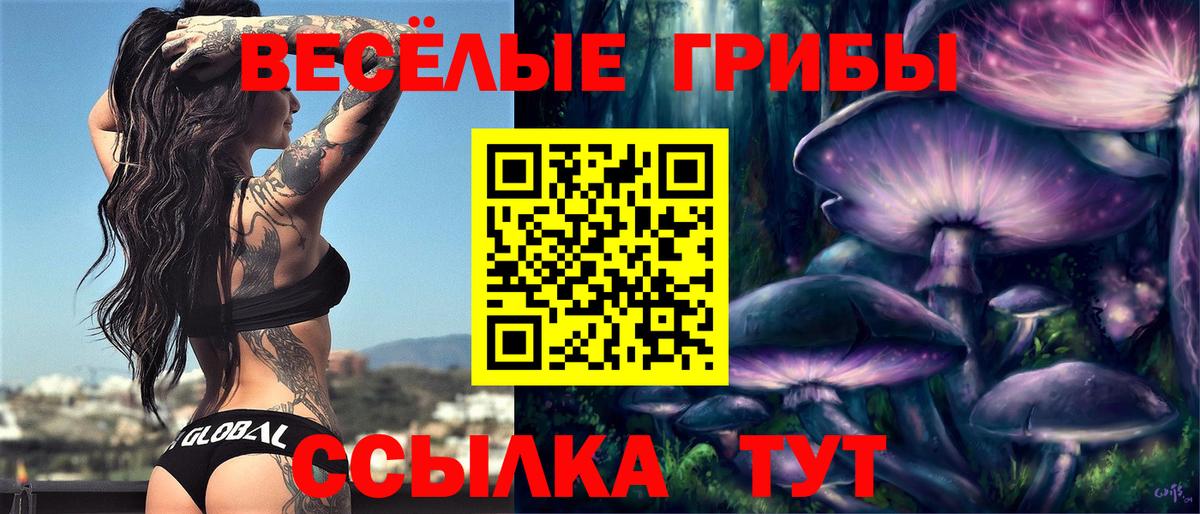 Галлюциногенные грибы Magic Shrooms  Вход с VPN  Кохма 